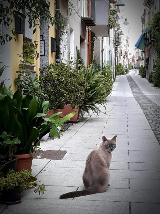 Via San Giacomo 10 Cagliari Kültér fotó